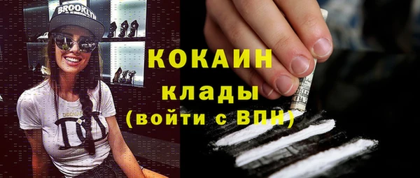 соль ск Лиски
