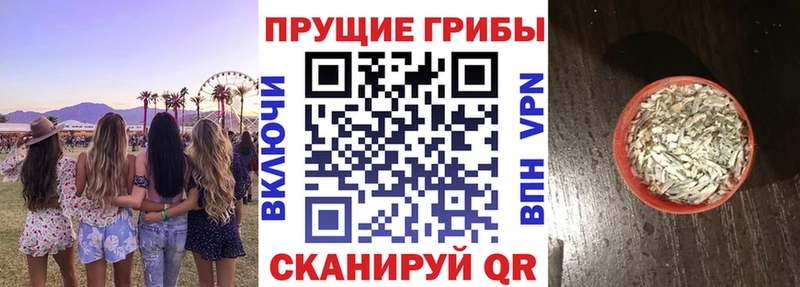 Псилоцибиновые грибы Psilocybe  даркнет телеграм  Нариманов 